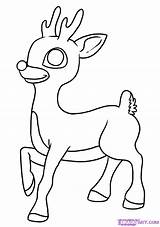 Reindeer Rudolph Drawing Christmas Nosed Red Template Draw Coloring Raindeer Pages Step Sheets Stuff Rudolf Outline Things Printable Nose Colouring sketch template
