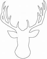 Stag Outline Silhouette Head Printable Stencil Drawing Trace Color sketch template
