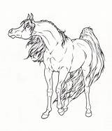 Horse Coloring Arabian Lineart Horses Pages Deviantart Draw Colouring Print Kids Drawings Templates Adult Sketch Animal Choose Board sketch template