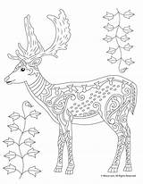 Coloring Adult Deer Pages Animal Fall Printable Woojr sketch template