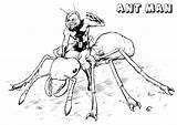 Ant Man Coloring Pages Kids Printable Justcolor Children sketch template