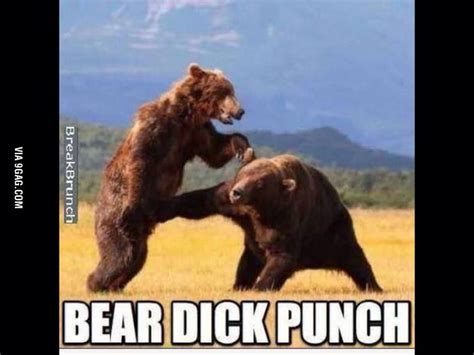 Bear Dick Punch 9gag