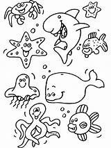 Kleurplaten Zeedieren Kleurplaat Meereswelt Onderwaterwereld Oceaan Zee Vissen Unterwassertiere Haai Ozean Grappig Aquarium Binatang Mewarnai Hewan Coloriages Inktvis Kwal Onderwater sketch template