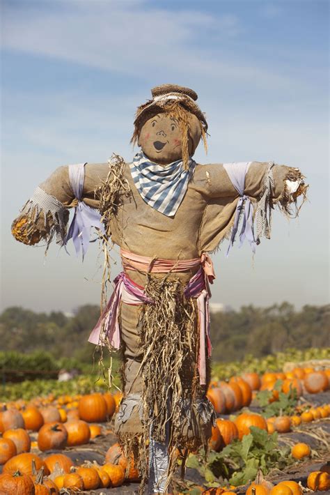 Home Countryside Make A Scarecrow Scarecrow Festival
