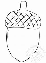 Acorn Large Craft Pattern Coloring sketch template