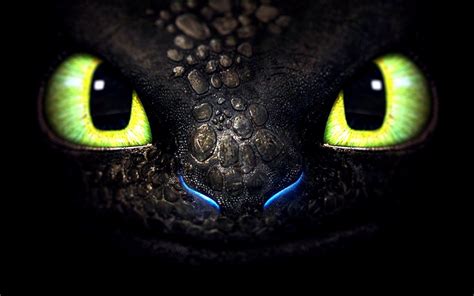 train  dragon toothless dragon wallpapers hd desktop