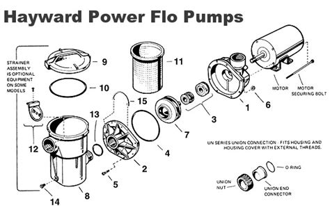 hayward super pump parts diagram wiring diagram pictures