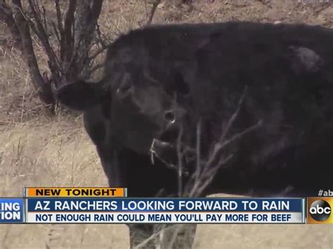 arizona ranchers looking forward to rain
