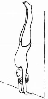 Adho Mukha Vrksasana Yoga Sequences Great sketch template