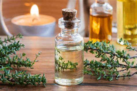 benefits of thyme essential oil for hair hair worlds