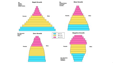 File Population Pyramid Png Wikipedia