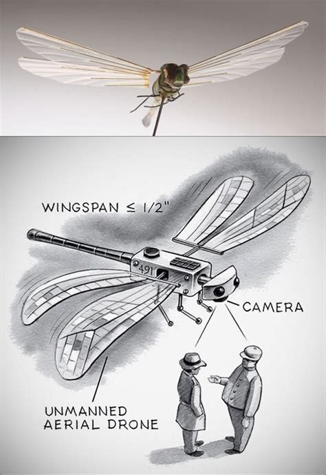 mini drones    cias insectothopter  dragonfly sized unmanned aerial