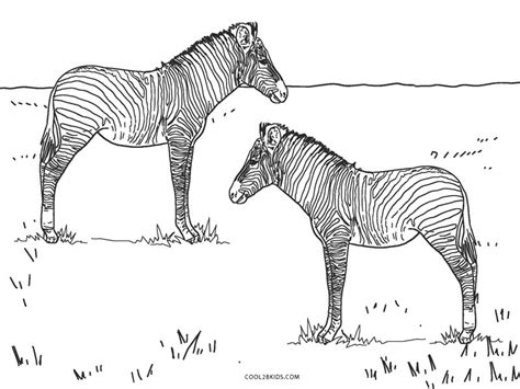 printable zebra coloring pages  kids