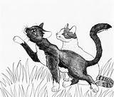 Tuxedo Cat Drawing Getdrawings sketch template