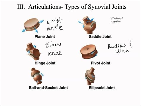 hd   examples  pivot joints insectza
