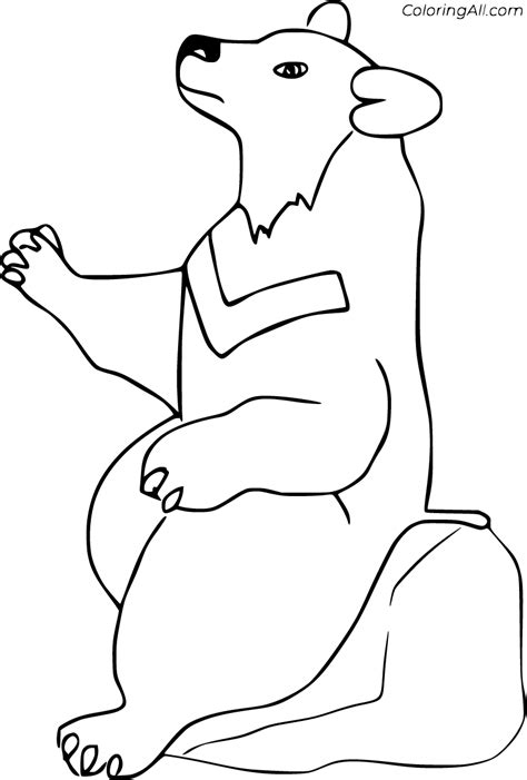 printable black bear coloring pages  vector format easy