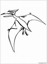 Pteranodon Flying Reptile Pages Coloring Color Coloringpagesonly sketch template