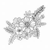 Doodle Flower Coloring Drawing Hydrengea Freehand Flowers Illustration Vector Preview sketch template