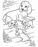 Coloring Animals Pages Babies Their Animal Mother Farm Dog Baby Puppies Playing Puppy Her Kids Play Printable Watching Getcolorings Print sketch template