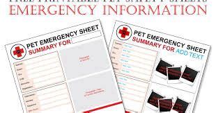 image result  emergency binder printables  emergency binder