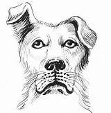 Triste Hund Schizzo Ritratto Ledsen Trippy Disegno Vektorillustration Illustrationer sketch template