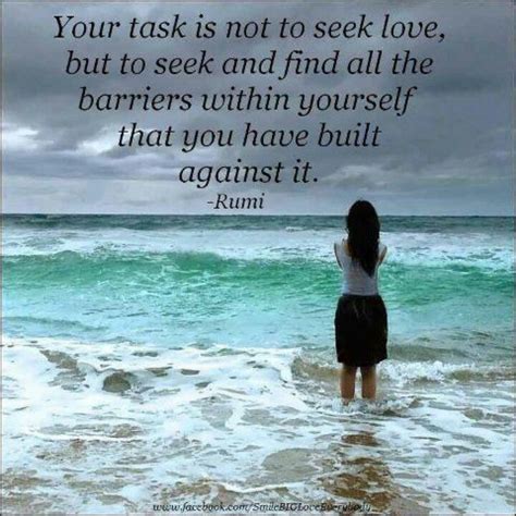 task    seek love   seek  find   barriers