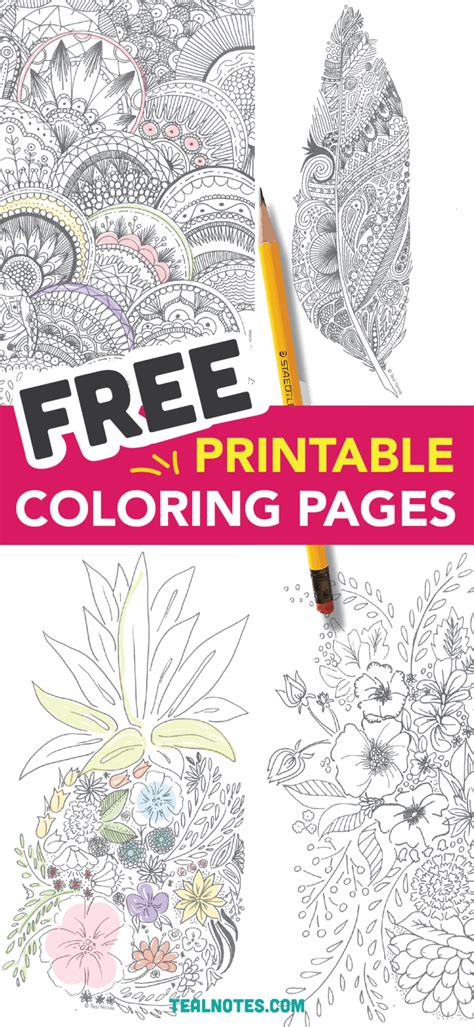 printable coloring pages   printable coloring  color  relax