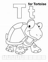 Tortoise Alphabet Bestcoloringpages sketch template