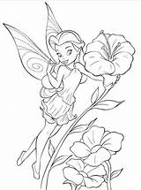 Pixie Coloring Hollow Pages Getdrawings sketch template