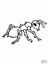 Ant Ameise Hormigas Formica Ameisen Realistica Malvorlage Realistic Ants Dots Formiche Malvorlagen sketch template
