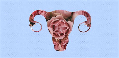 Having Sex Post Pregnancy A Physio Explains The Sex Blog