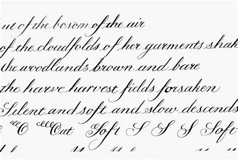 copperplate calligraphy  weald downland living museum