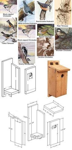 chickadee birdhouse ideas chickadee bird house plans bird houses