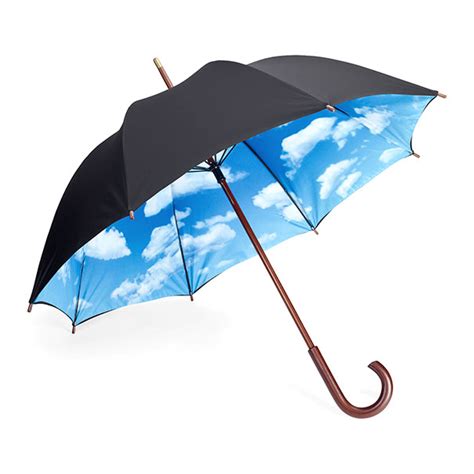 19 Brilliant Umbrellas That Will Make Rainy Days Fun Bored Panda