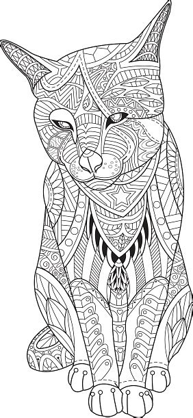 drawing cat   coloring book  adults