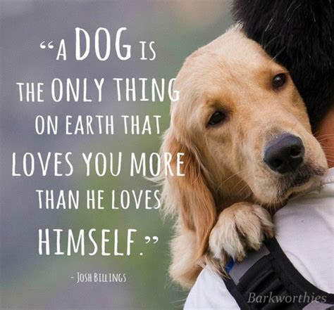 quote  dog      earth  loves