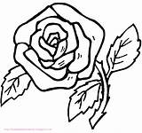 Mewarnai Bunga Mawar Anak Tk Paud Berbagai Aneka Temukan sketch template