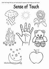 Worksheet Touch Sense Senses Worksheets Kindergarten Printable Five Coloring Worksheeto Grade Via sketch template