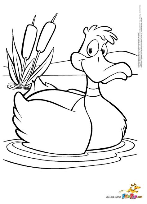 mallard duck  coloring pages cartoon coloring pages coloring