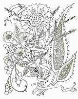 Coloring Pages Adults Adult Flowers Flower Pdf Paisley Printable Spring Color Print Abstract Floral Colouring Kids Mediterranean Easy Azcoloring Cynthia sketch template