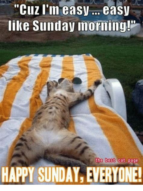 Best 32 Sunday Morning Memes Sunny Viral Sunday Morning Memes
