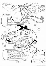 Coloring Nemo Finding Pages Dory Marlin Coloring4free Jellyfish Print Disney Kids Printable Pdf Color Getcolorings Getdrawings Peach sketch template