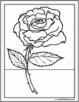 Rose Coloring Pages Stem Roses Pdf Drawing Kids Long Printable Beautiful Sheet Template Printables Getdrawings Customize Drawings 52kb sketch template