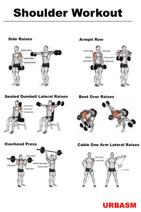 Shoulder Workout Urbasm Urbasm