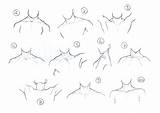 Neck Drawing Reference Anatomy Human Base Anime References Drawings Poses sketch template