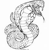 Snake Cobra Coloring Pages King Ninjago Rattlesnake Logo Head Clipart Animals Venomous Drawing Royalty Printable Draw Color Stock Viper Print sketch template