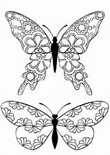 Coloring Pages Butterfly Butterflies Adult Adults Printable Templates Book Sheets Kids Drawing Buzzle Colouring Gratis Childhood Relive Template Kleurplaten Quilling sketch template