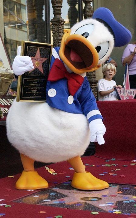 donald duck with his hollywood star disney duck mickey