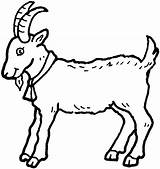 Goat Coloring Pages Animal Color Print Printable Back sketch template