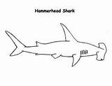 Shark Hammerhead Sharks Silky Designlooter Angie Marcus Kidsplaycolor sketch template